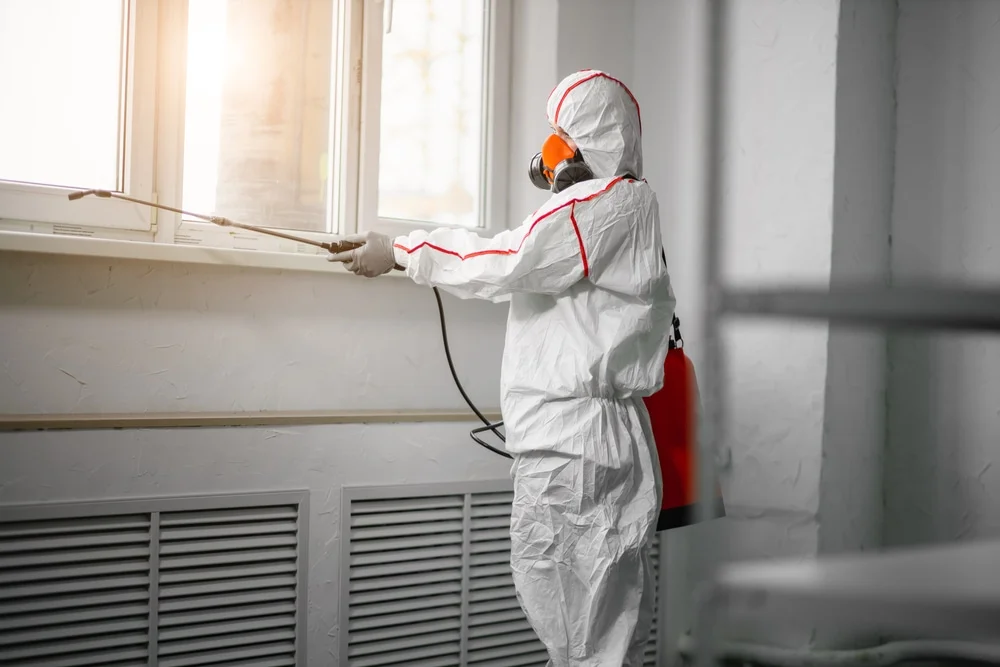 Professional mold remediation services in New Carlisle, OH